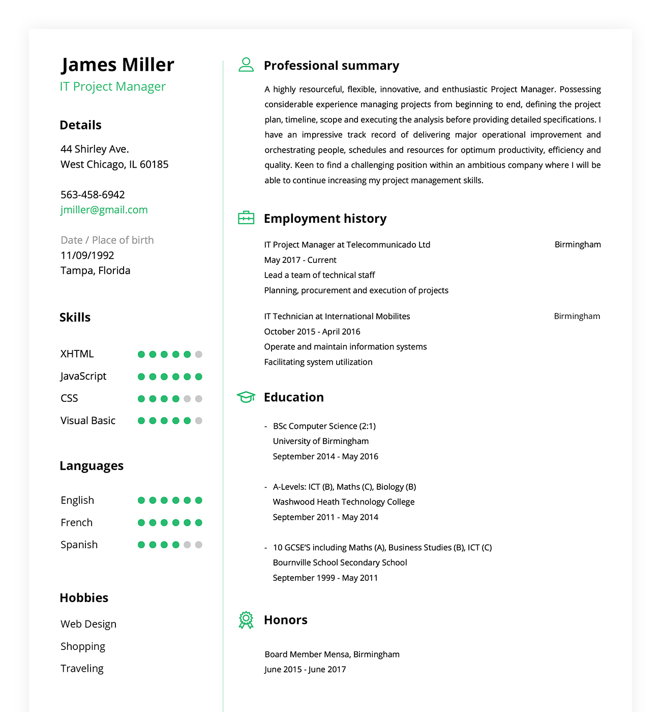 resume example