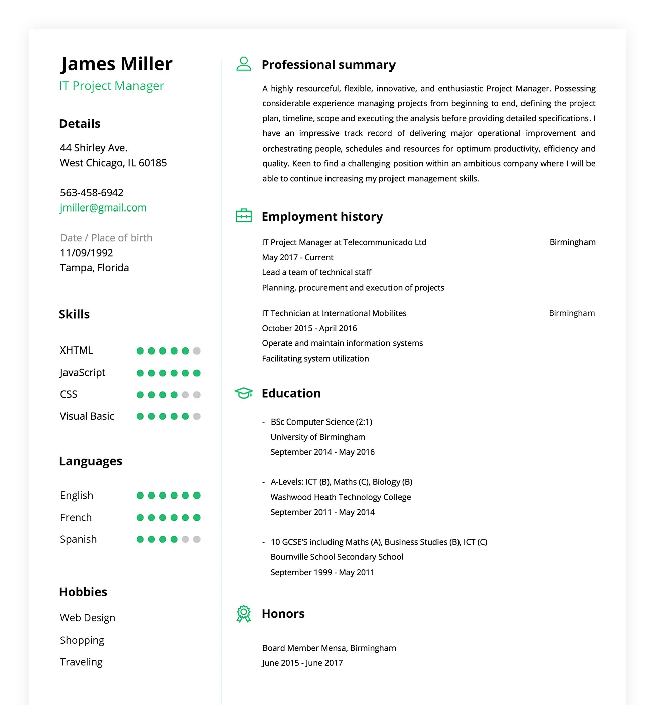 resume example